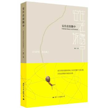 安住在折腾中(pdf+txt+epub+azw3+mobi电子书在线阅读下载)