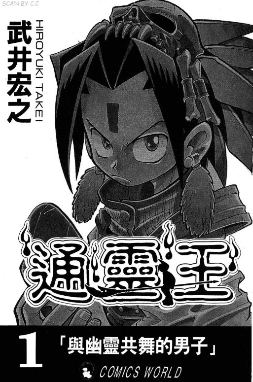 通灵王（32卷全）