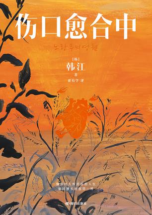 伤口愈合中